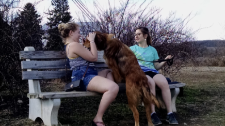 Photo of volunteers with The Sanctuary dogs